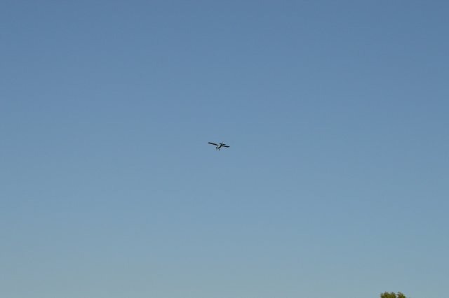 img00036.jpg