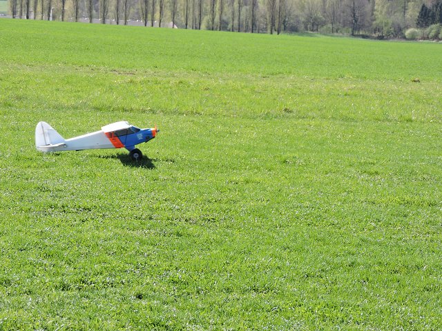 img00010.jpg