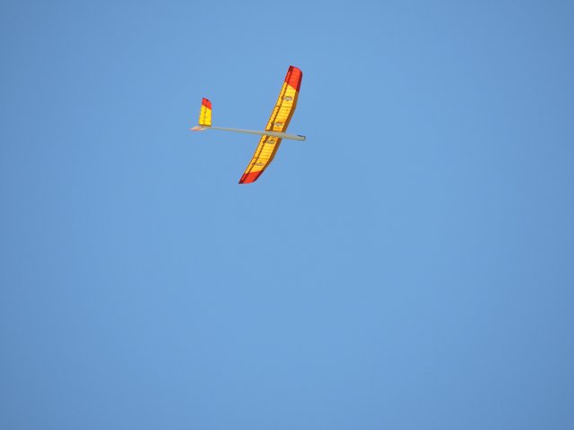 img00013.jpg