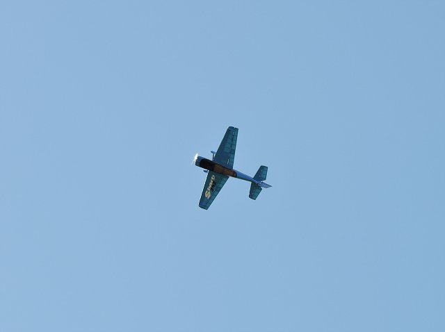 img00021.jpg
