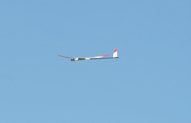 img00081.jpg