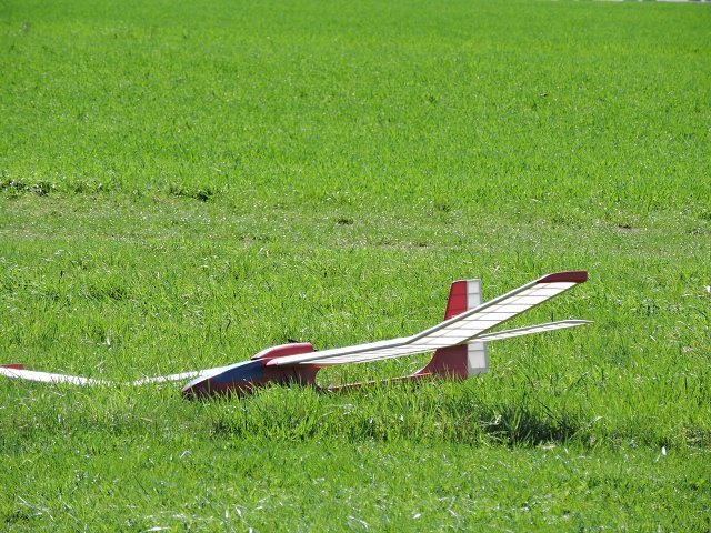 img00085.jpg