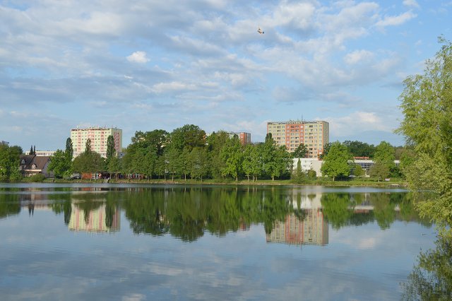 img00020.jpg