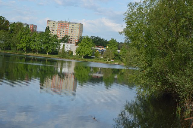 img00035.jpg