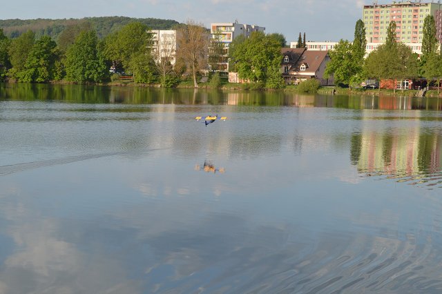 img00047.jpg