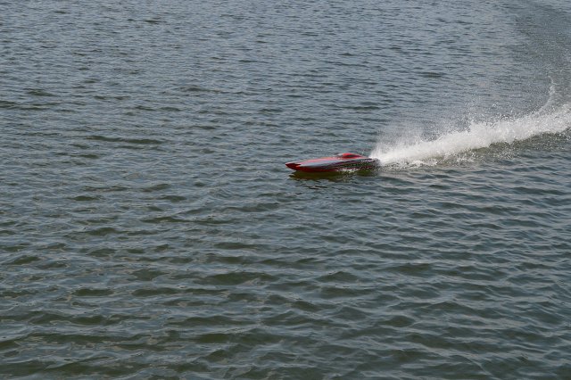 img00081.jpg