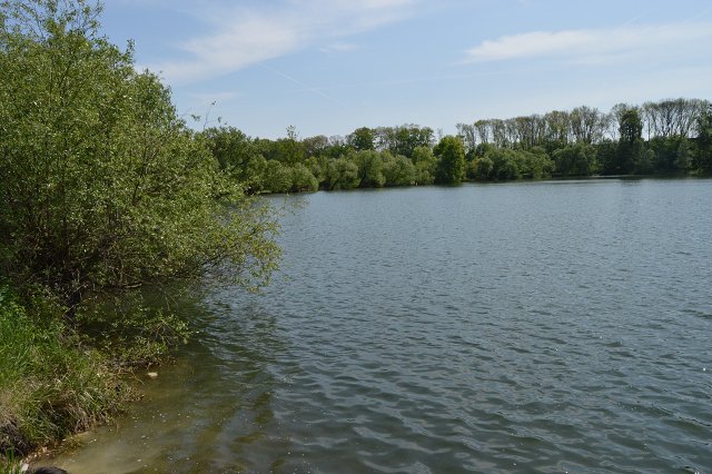 img00124.jpg