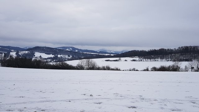 img00016.jpg