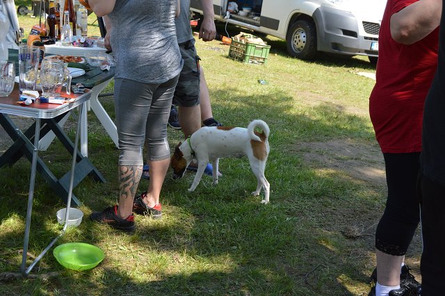 img00067.jpg