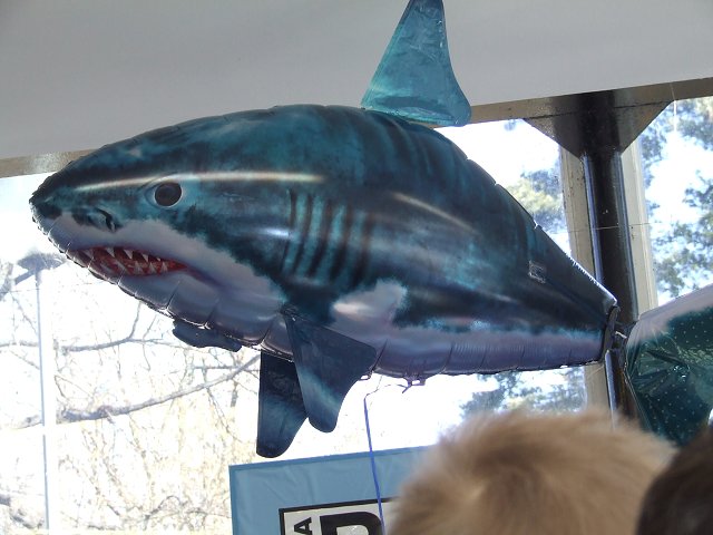 img00013.jpg
